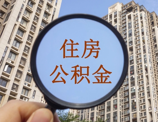 深圳被单位开除多久可以取公积金（被开除后多久能取公积金）